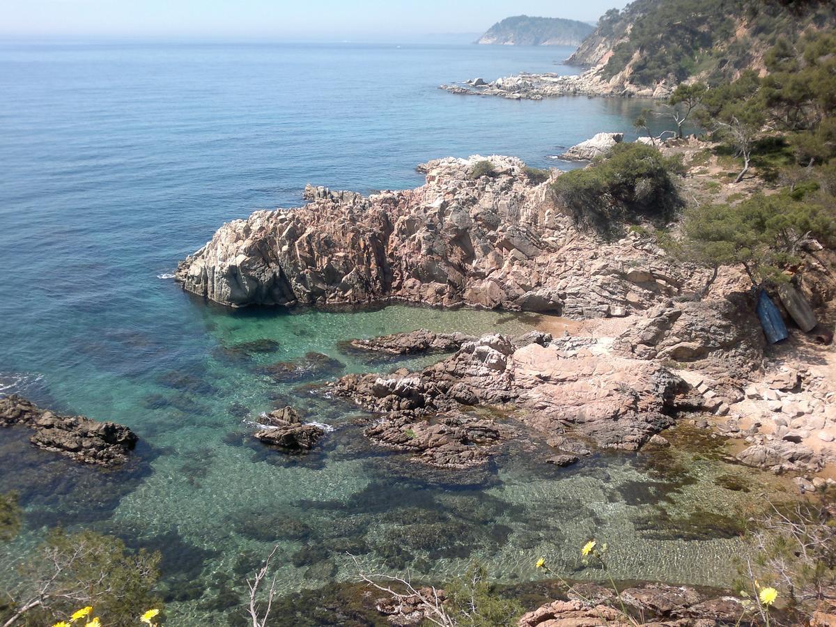 Hotel Ancora Palamos Bagian luar foto
